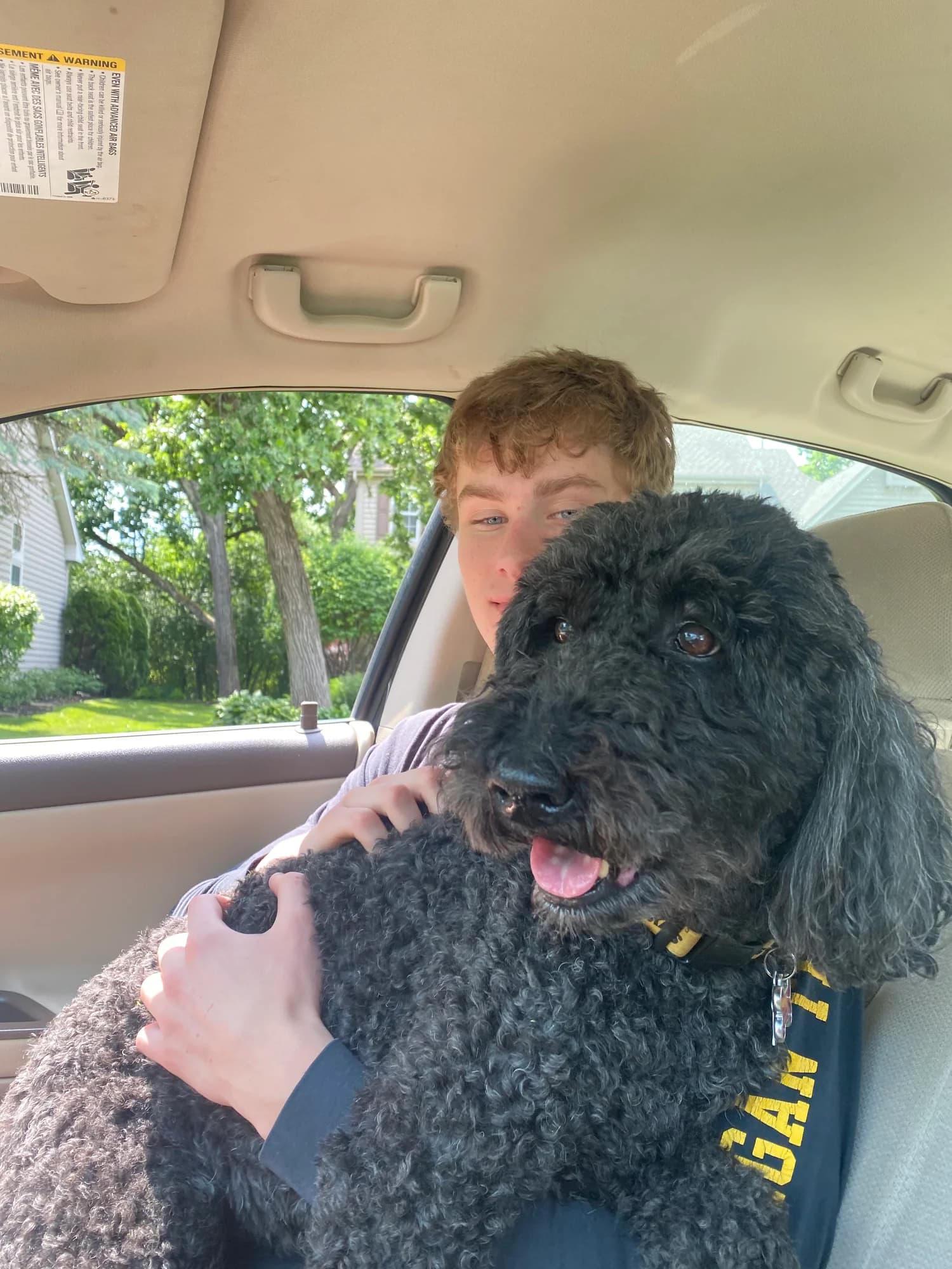 Drew holding a black poodle in a car